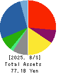 MARUICHI CO.,LTD. Balance Sheet 2025年Mar期 MARUICHI CO.,LTD. Balance Sheet 2025年3月期
