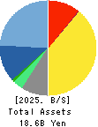 Computer Institute of Japan,Ltd. Balance Sheet 2025年6月期