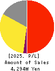 Disruptors Inc. Profit and Loss Account 2025年Mar期 Disruptors Inc. Profit and Loss Account 2025年3月期