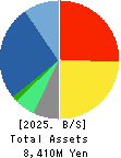 All About,Inc. Balance Sheet 2025年Mar期 All About,Inc. Balance Sheet 2025年3月期