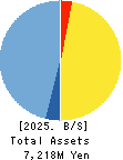 Temairazu, Inc. Balance Sheet 2025年Jun期 Temairazu, Inc. Balance Sheet 2025年6月期