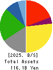 TOMOE CORPORATION Balance Sheet 2025年Mar期 TOMOE CORPORATION Balance Sheet 2025年3月期