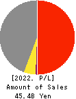 DVx Inc. Profit and Loss Account 2022年3月期