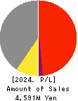 TRADE WORKS Co.,Ltd Profit and Loss Account 2024年Dec期 TRADE WORKS Co.,Ltd Profit and Loss Account 2024年12月期
