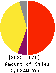 i-plug,Inc. Profit and Loss Account 2025年Mar期 i-plug,Inc. Profit and Loss Account 2025年3月期