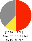 Branding Technology Inc. Profit and Loss Account 2020年Mar期 Branding Technology Inc. Profit and Loss Account 2020年3月期