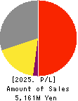 internet infinity INC. Profit and Loss Account 2025年3月期