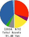 CANOX CORPORATION Balance Sheet 2024年3月期