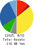 Mizuno Corporation Balance Sheet 2025年3月期