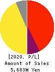 IGNIS LTD. Profit and Loss Account 2020年9月期