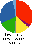 GMB CORPORATION Balance Sheet 2024年3月期