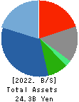 NAKAYO, INC. Balance Sheet 2022年Mar期 NAKAYO, INC. Balance Sheet 2022年3月期