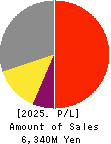 Ubicom Holdings, Inc. Profit and Loss Account 2025年3月期
