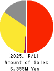 CORREC HOLDINGS Inc. Profit and Loss Account 2025年2月期