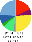 GMO GlobalSign Holdings K.K. Balance Sheet 2024年Dec期 GMO GlobalSign Holdings K.K. Balance Sheet 2024年12月期