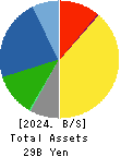 DKK-TOA CORPORATION Balance Sheet 2024年3月期