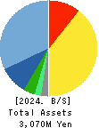 eWeLL Co.,Ltd. Balance Sheet 2024年Dec期 eWeLL Co.,Ltd. Balance Sheet 2024年12月期