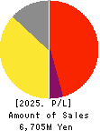 Solvvy Inc. Profit and Loss Account 2025年Jun期 Solvvy Inc. Profit and Loss Account 2025年6月期