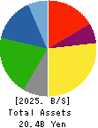 TOIN CORPORATION Balance Sheet 2025年Mar期 TOIN CORPORATION Balance Sheet 2025年3月期