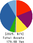 Hoosiers Holdings Co., Ltd. Balance Sheet 2025年Mar期 Hoosiers Holdings Co., Ltd. Balance Sheet 2025年3月期