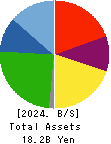 BEING HOLDINGS CO., LTD. Balance Sheet 2024年Dec期 BEING HOLDINGS CO., LTD. Balance Sheet 2024年12月期