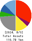 Skymark Airlines Inc. Balance Sheet 2024年Mar期 Skymark Airlines Inc. Balance Sheet 2024年3月期