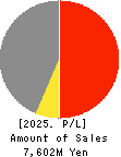 Beauty Kadan Holdings Co., Ltd. Profit and Loss Account 2025年6月期