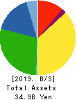 FUJI OOZX Inc. Balance Sheet 2019年Mar期 FUJI OOZX Inc. Balance Sheet 2019年3月期