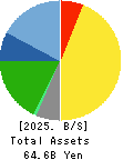 SOFT99corporation Balance Sheet 2025年Mar期 SOFT99corporation Balance Sheet 2025年3月期