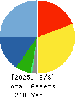 TENOX CORPORATION Balance Sheet 2025年3月期