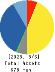 Gamecard-Joyco Holdings,Inc. Balance Sheet 2025年3月期