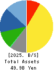 MAEZAWA KASEI INDUSTRIES CO.,LTD. Balance Sheet 2025年Mar期 MAEZAWA KASEI INDUSTRIES CO.,LTD. Balance Sheet 2025年3月期