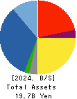 APPLE INTERNATIONAL CO.,LTD. Balance Sheet 2024年Dec期 APPLE INTERNATIONAL CO.,LTD. Balance Sheet 2024年12月期