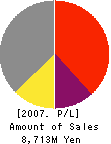 GONZO K.K. Profit and Loss Account 2007年3月期