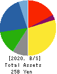 OZU CORPORATION Balance Sheet 2020年5月期