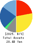 Serverworks Co.,Ltd. Balance Sheet 2025年2月期