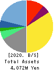 Datasection Inc. Balance Sheet 2020年Mar期 Datasection Inc. Balance Sheet 2020年3月期
