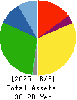 PICKLES HOLDINGS CO.,LTD. Balance Sheet 2025年2月期