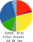 SANEI LTD. Balance Sheet 2025年Mar期 SANEI LTD. Balance Sheet 2025年3月期