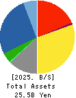 DN HOLDINGS CO.,LTD. Balance Sheet 2025年Jun期 DN HOLDINGS CO.,LTD. Balance Sheet 2025年6月期