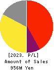 Ame Kaze Taiyo,Inc. Profit and Loss Account 2023年12月期