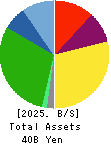 ENSHU TRUCK CO.,LTD. Balance Sheet 2025年Mar期 ENSHU TRUCK CO.,LTD. Balance Sheet 2025年3月期
