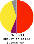 i-plug,Inc. Profit and Loss Account 2025年Mar期 i-plug,Inc. Profit and Loss Account 2025年3月期