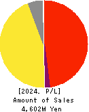 i-plug,Inc. Profit and Loss Account 2024年Mar期 i-plug,Inc. Profit and Loss Account 2024年3月期