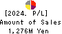 RVH Inc. Profit and Loss Account 2024年3月期