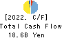 Nippon Light Metal Holdings Company,Ltd. Cash Flow Statement 2022年3月期
