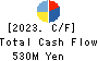 Taiyo Kiso kogyo Co.,Ltd. Cash Flow Statement 2023年1月期