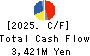Nihon Tokushu Toryo Co.,Ltd. Cash Flow Statement 2025年Mar期 Nihon Tokushu Toryo Co.,Ltd. Cash Flow Statement 2025年3月期