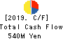 HAPiNS Co., Ltd. Cash Flow Statement 2019年Mar期 HAPiNS Co., Ltd. Cash Flow Statement 2019年3月期