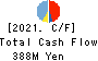 HYUGA PRIMARY CARE Co.,Ltd. Cash Flow Statement 2021年Mar期 HYUGA PRIMARY CARE Co.,Ltd. Cash Flow Statement 2021年3月期